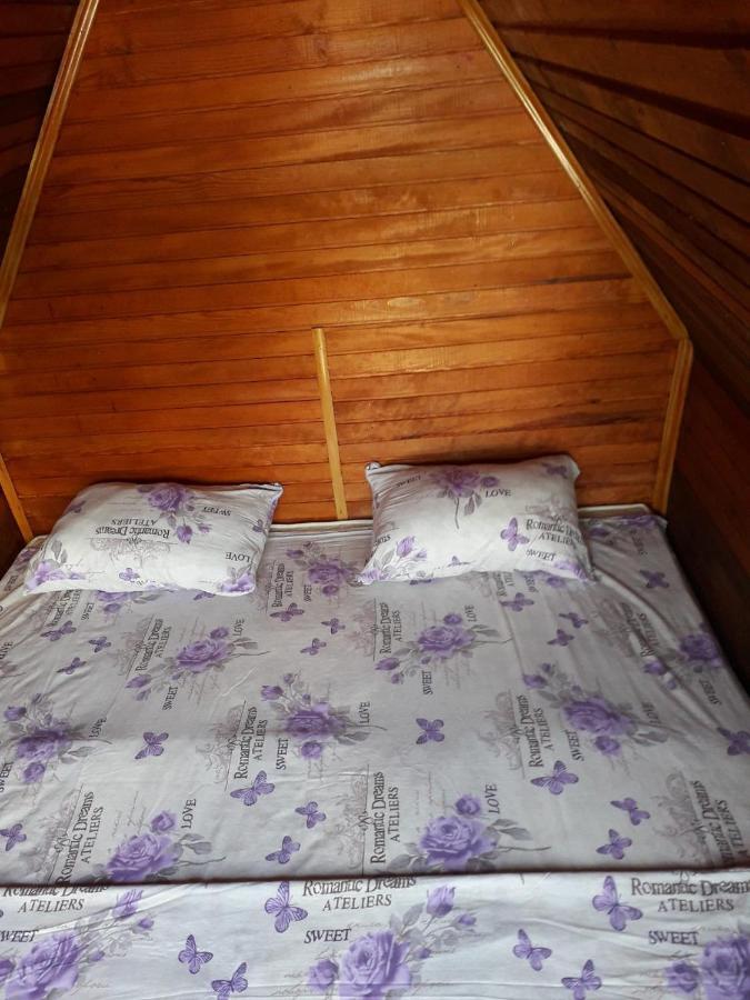 Bed and Breakfast Prenociste Vitas Miljevina Exteriér fotografie